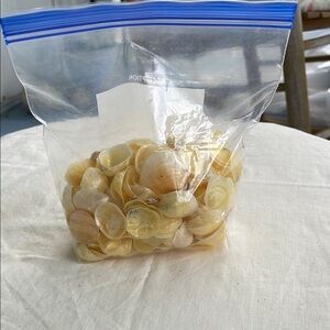 Yellow Jingle Seashells New England Coast Crafts Wind Chimes Decor Art Earrings